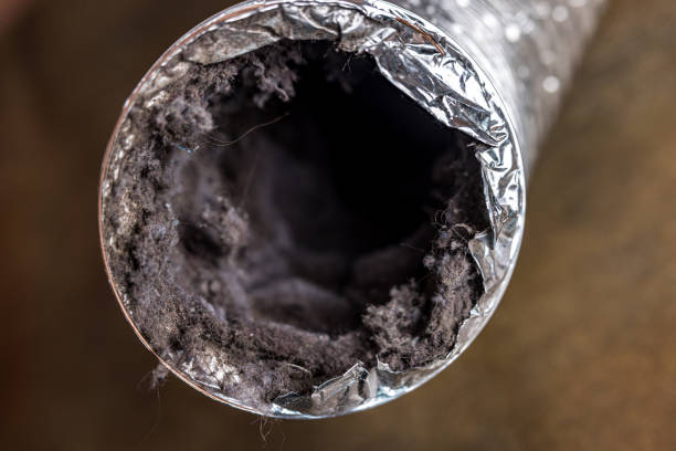 Best Local Air Duct Cleaning Services  in Sebastian, FL